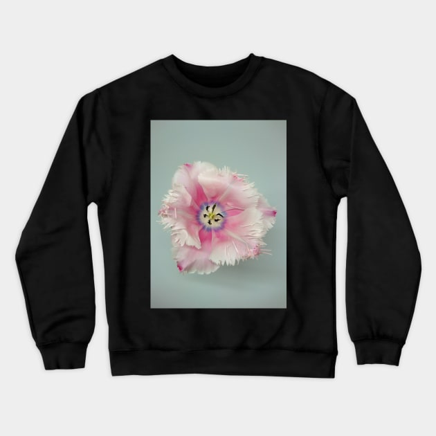 Pink tulip closeup Crewneck Sweatshirt by bettyretro